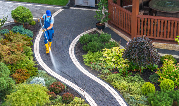 Best Local Pressure Washing Services  in Wyndham, VA